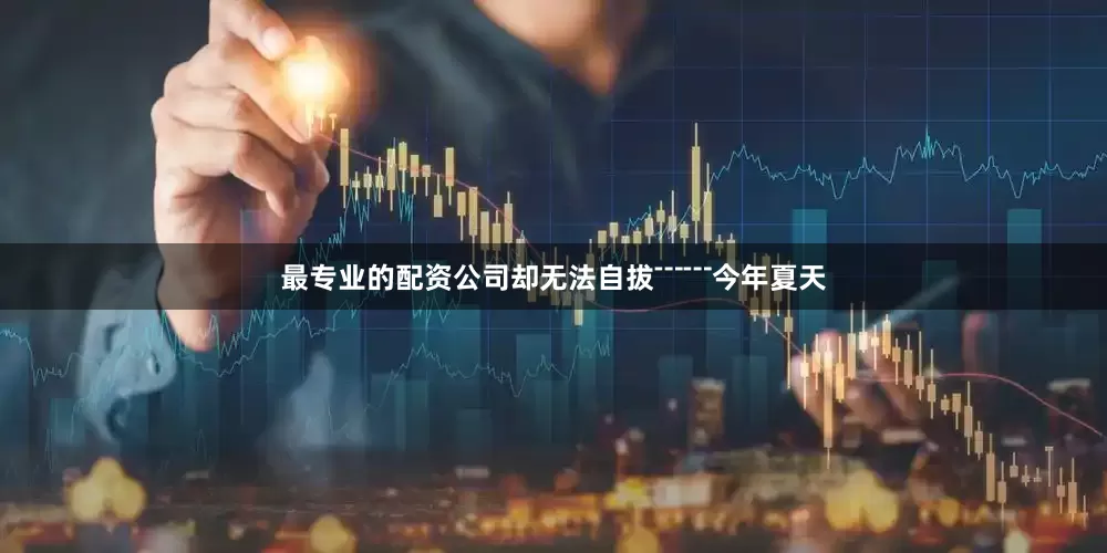 最专业的配资公司却无法自拔﹉﹉今年夏天