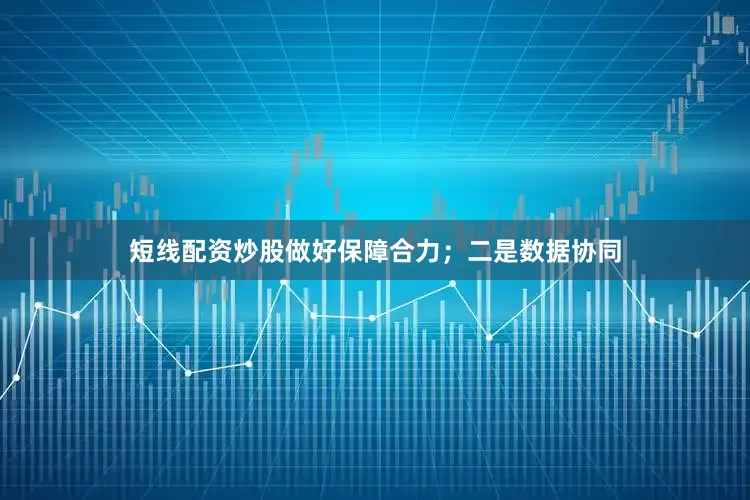 短线配资炒股做好保障合力；二是数据协同