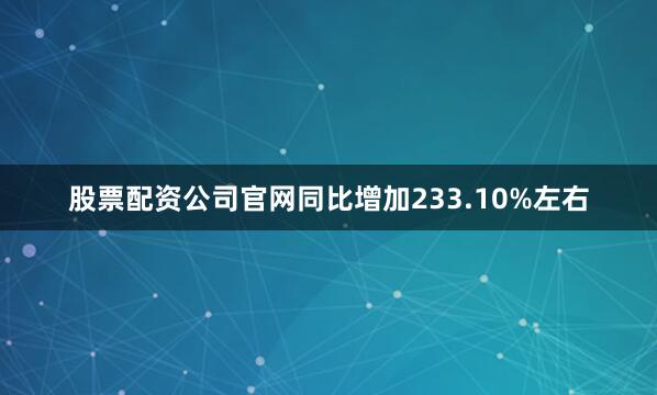 股票配资公司官网同比增加233.10%左右