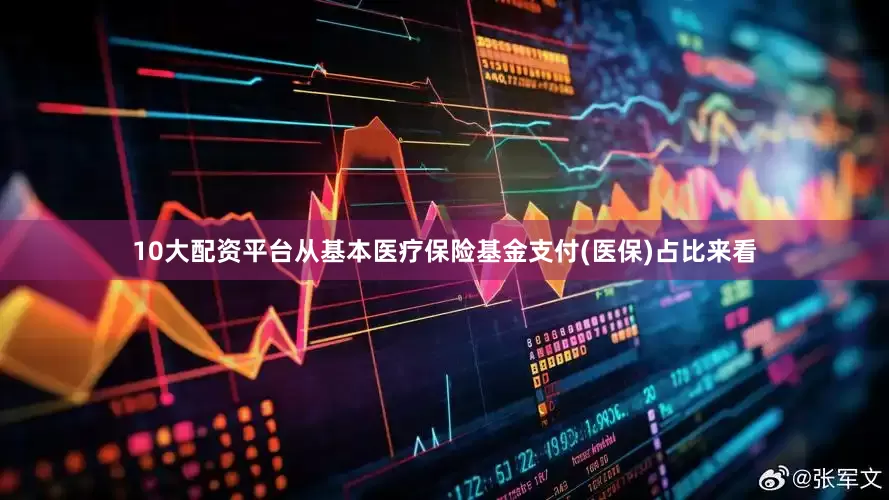 10大配资平台从基本医疗保险基金支付(医保)占比来看