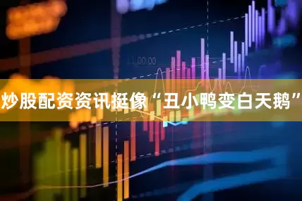 炒股配资资讯挺像“丑小鸭变白天鹅”