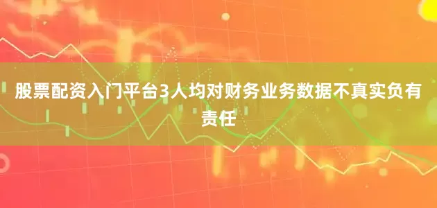 股票配资入门平台3人均对财务业务数据不真实负有责任